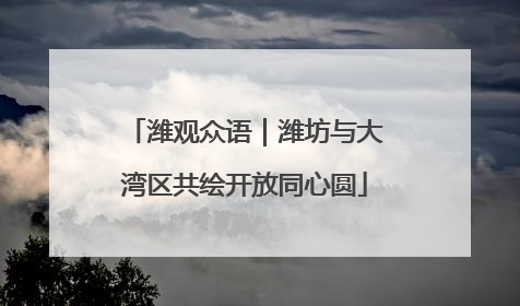 潍观众语｜潍坊与大湾区共绘开放同心圆