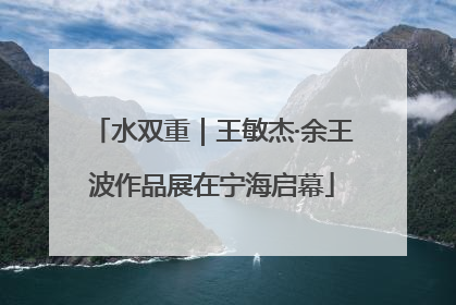 水双重｜王敏杰·余王波作品展在宁海启幕