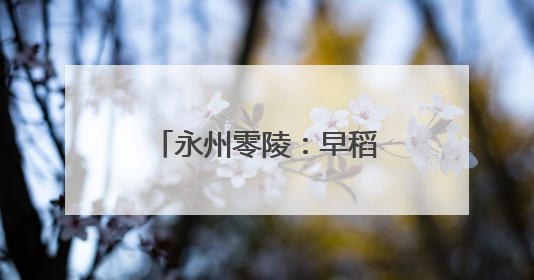 永州零陵：早稻管理见成效 稻浪飘香穗满田