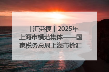 汇劳模｜2025年上海市模范集体——国家税务总局上海市徐汇区税务局第一税务所