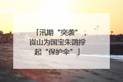 汛期“突袭”，崀山为国宝朱鹮撑起“保护伞”