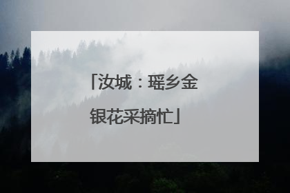 汝城：瑶乡金银花采摘忙
