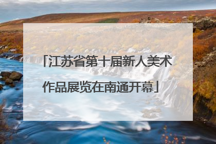 江苏省第十届新人美术作品展览在南通开幕
