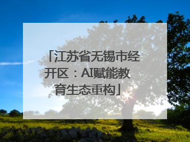 江苏省无锡市经开区：AI赋能教育生态重构