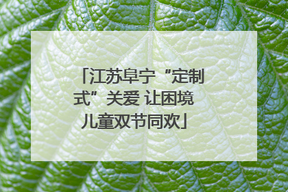江苏阜宁“定制式”关爱 让困境儿童双节同欢