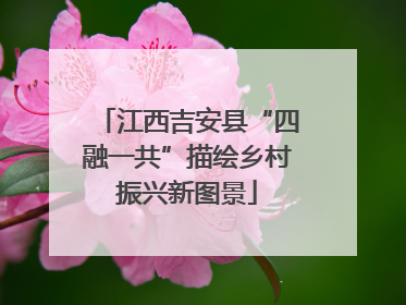 江西吉安县“四融一共”描绘乡村振兴新图景