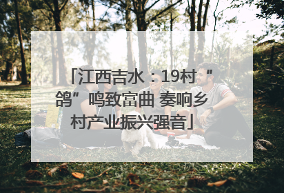 江西吉水：19村“鸽”鸣致富曲 奏响乡村产业振兴强音