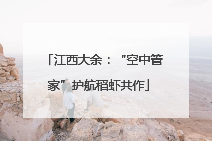 江西大余：“空中管家”护航稻虾共作