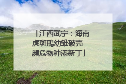 江西武宁：海南虎斑鳽幼雏破壳 濒危物种添新丁
