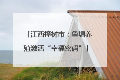 江西樟树市：鱼塘养殖激活“幸福密码”
