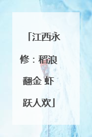 江西永修：稻浪翻金 虾跃人欢