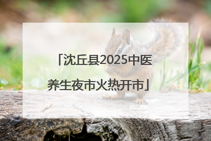 沈丘县2025中医养生夜市火热开市