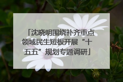 沈晓明围绕补齐重点领域民生短板开展“十五五”规划专题调研