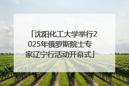 沈阳化工大学举行2025年俄罗斯院士专家辽宁行活动开幕式