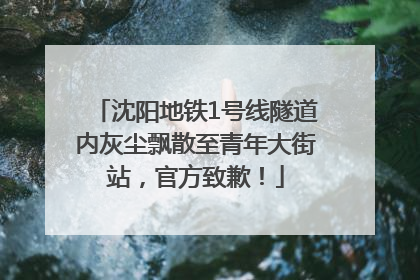 沈阳地铁1号线隧道内灰尘飘散至青年大街站，官方致歉！