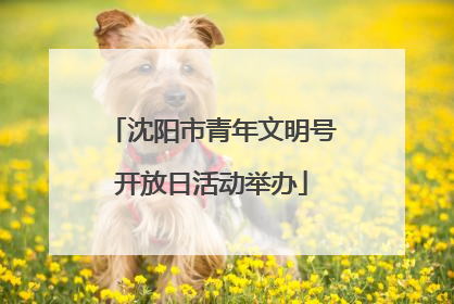 沈阳市青年文明号开放日活动举办