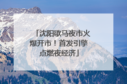 沈阳歇马夜市火爆开市！首发引擎点燃夜经济