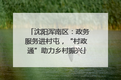 沈阳浑南区：政务服务进村屯，“村政通”助力乡村振兴
