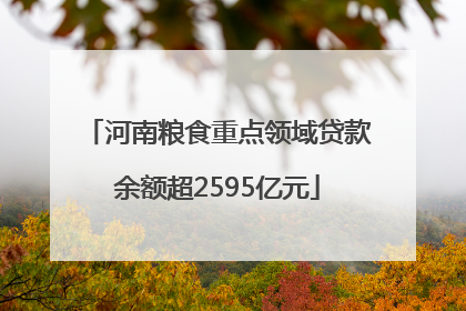 河南粮食重点领域贷款余额超2595亿元