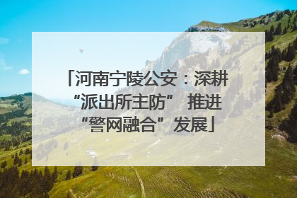 河南宁陵公安：深耕“派出所主防” 推进“警网融合”发展