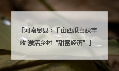 河南息县：千亩西瓜喜获丰收 激活乡村“甜蜜经济”
