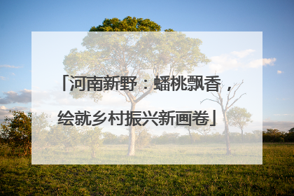 河南新野：蟠桃飘香，绘就乡村振兴新画卷