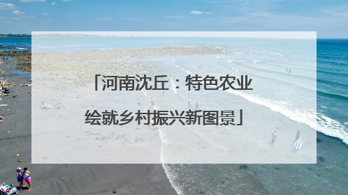河南沈丘：特色农业绘就乡村振兴新图景