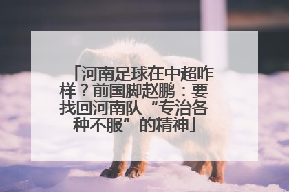 河南足球在中超咋样？前国脚赵鹏：要找回河南队“专治各种不服”的精神