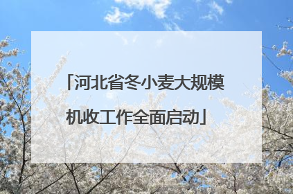 河北省冬小麦大规模机收工作全面启动