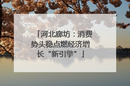 河北廊坊：消费势头稳点燃经济增长“新引擎”