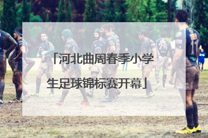 河北曲周春季小学生足球锦标赛开幕