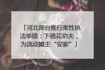 河北邢台推行柔性执法举措：下绣花功夫，为流动摊主“安家”