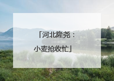 河北隆尧：小麦抢收忙