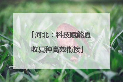 河北：科技赋能夏收夏种高效衔接