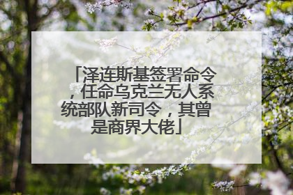 泽连斯基签署命令，任命乌克兰无人系统部队新司令，其曾是商界大佬