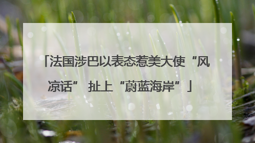 法国涉巴以表态惹美大使“风凉话” 扯上“蔚蓝海岸”