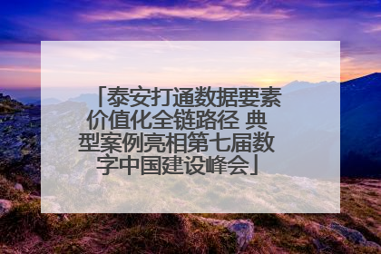 泰安打通数据要素价值化全链路径 典型案例亮相第七届数字中国建设峰会