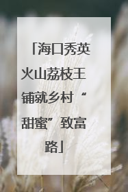 海口秀英火山荔枝王铺就乡村“甜蜜”致富路