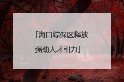 海口综保区释放强劲人才引力