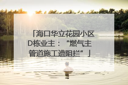 海口华立花园小区D栋业主：“燃气主管道施工遭阻拦”