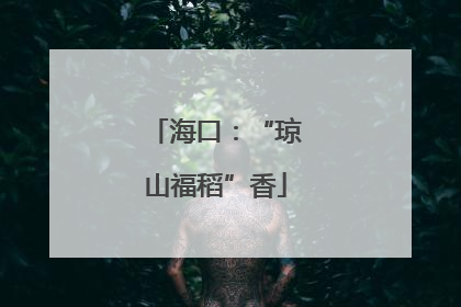 海口：“琼山福稻”香
