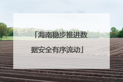 海南稳步推进数据安全有序流动