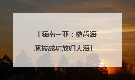 海南三亚：糙齿海豚被成功放归大海