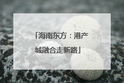 海南东方：港产城融合走新路
