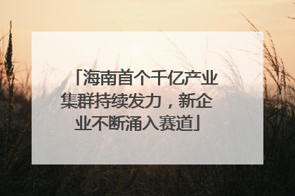 海南首个千亿产业集群持续发力，新企业不断涌入赛道