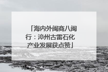 海内外闽商八闽行：漳州古雷石化产业发展获点赞