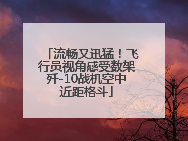 流畅又迅猛！飞行员视角感受数架歼-10战机空中近距格斗