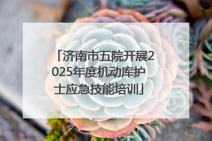济南市五院开展2025年度机动库护士应急技能培训