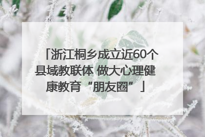 浙江桐乡成立近60个县域教联体 做大心理健康教育“朋友圈”