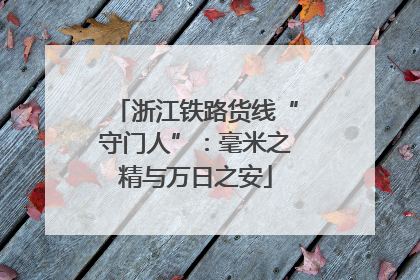 浙江铁路货线“守门人”：毫米之精与万日之安